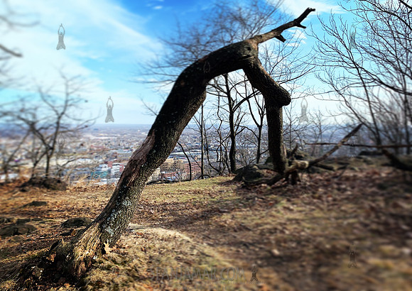 Garrett Mountain