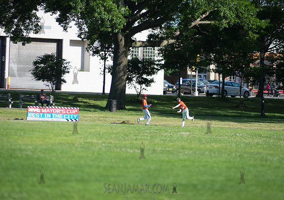 Mayors Cup Cricket - Baisley Pond Park - Jamaica Queens - 2018
