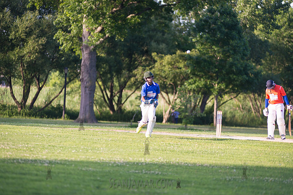 Mayors Cup Cricket - Baisley Pond Park - Jamaica Queens - 2018