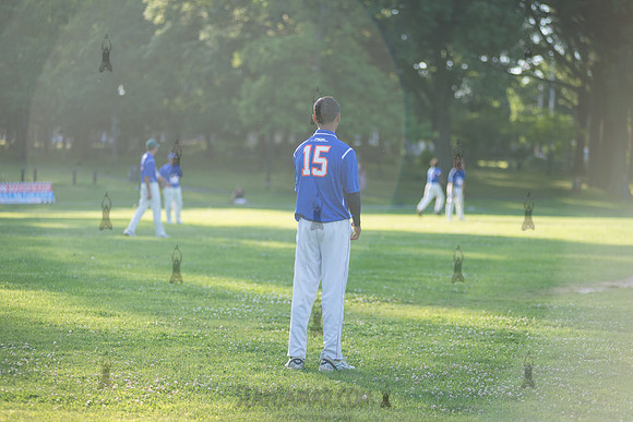 Mayors Cup Cricket - Baisley Pond Park - Jamaica Queens - 2018