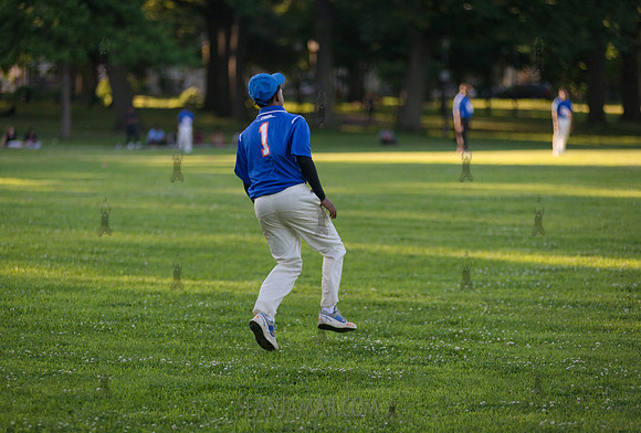 Mayors Cup Cricket - Baisley Pond Park - Jamaica Queens - 2018