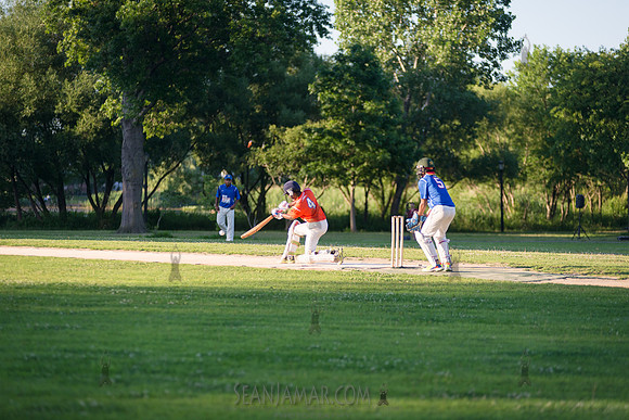Mayors Cup Cricket - Baisley Pond Park - Jamaica Queens - 2018