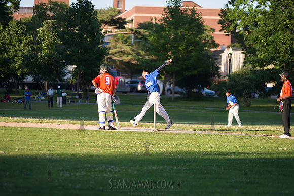 Mayors Cup Cricket - Baisley Pond Park - Jamaica Queens - 2018