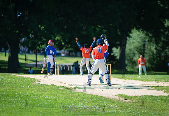 Mayors Cup Cricket - Baisley Pond Park - Jamaica Queens - 2018