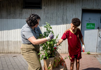CPF - Coastal Classrooms - Bushwick Inlet Park - NYC - 2025