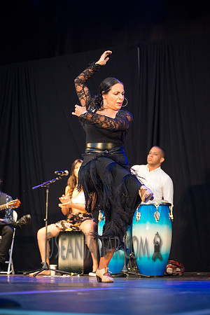 Nelida Tirado - Made in the Bronx presented by BAAD - St Marys Park - BX NYC - 2017