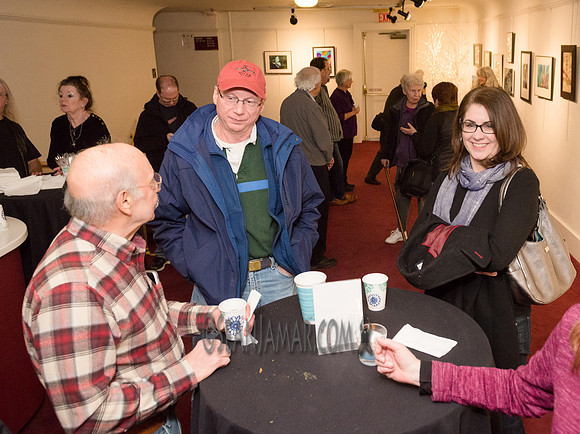 TCC - Through Our Eyes - Sandy Bennett Art Gallery - Bergen PAC - Englewood NJ - 2018