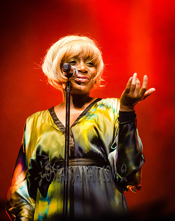 Chic - Roots Picnic - Bryant Park - NYC - 2016