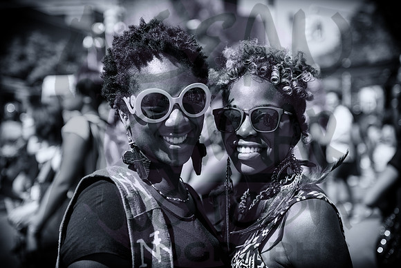 Afropunk Festival - Commodore Barry Park - BK USA - 2013
