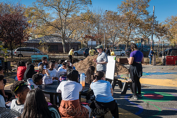 CPF Learn - Learning Gardens Liberty Learning Garden - NYC - 202