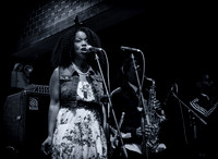 Water Seed - Stage 48 - NYC - 2014