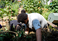 CPF Learning Gardens - Abib Newborn - NYC -2025