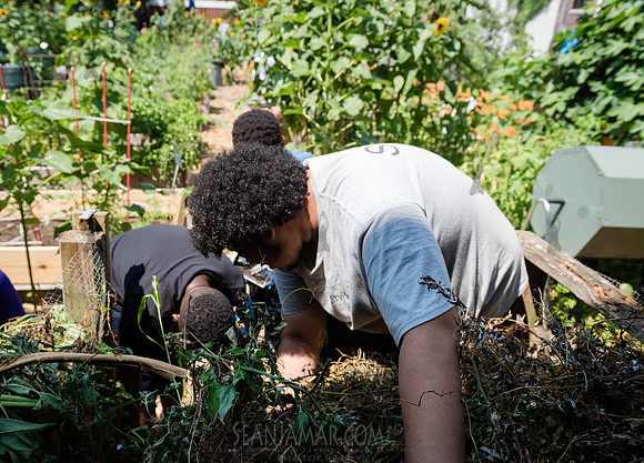CPF Learning Gardens - Abib Newborn - NYC -2025