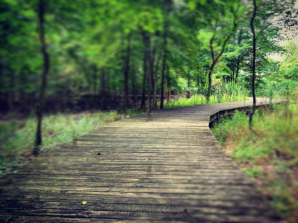 Hackensack River County Park