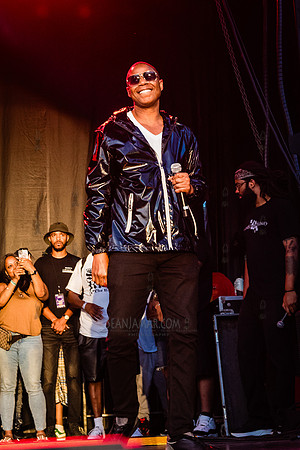 NYC SummerStage - Doug E Fresh + Funk Flex Hip Hop Appreciation