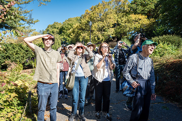 CPF Green Fund - NYC Bird Alliance Accessible Birding - Ft Tryon