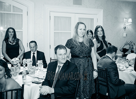 Heart of Gold Gala - The Fiesta - Woodridge NJ - 2016