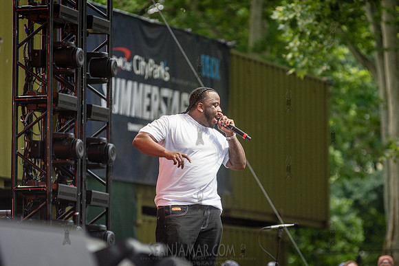 Nando STL - CPF SummerStage - T-Pains Mansion in Wiscansin Party