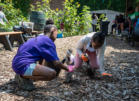 CPF Learning Gardens - Abib Newborn - NYC -2025