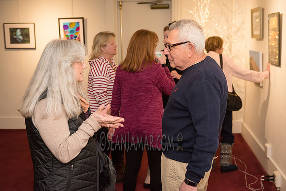TCC - Through Our Eyes - Sandy Bennett Art Gallery - Bergen PAC - Englewood NJ - 2018