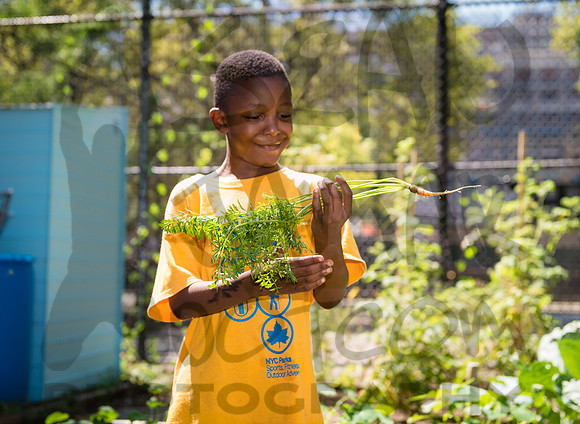 CPF Learning Gardens - Grove Hill Community Garden - NYC - 2019