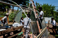 CPF Learning Gardens - Abib Newborn - NYC -2025