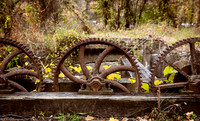 Adventure Day - Deleware and Lehigh Canal - PA - 2023