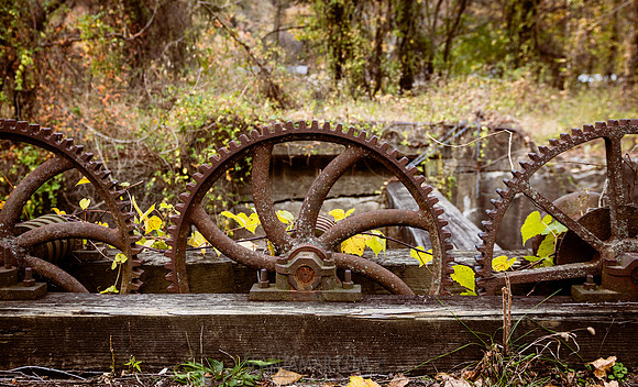 Adventure Day - Deleware and Lehigh Canal - PA - 2023