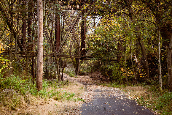 Adventure Day - Deleware and Lehigh Canal - PA - 2023