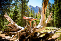 Adventure Day - Cathedral Beach Picnic Area - Yosemite National Park - Yosemite Valley CA - 2017
