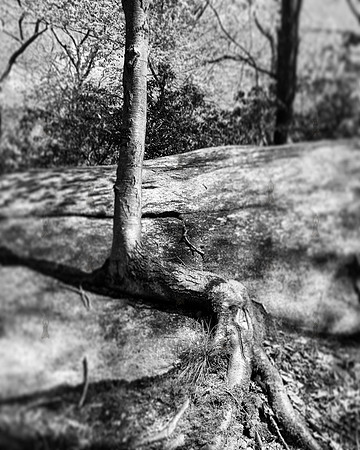 Harriman State Paark