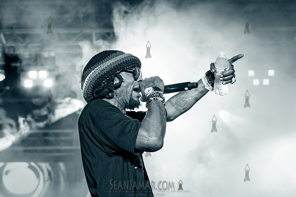 CPF SummerStage - Chuck Chillout 40th Radio Anniv - Crotona Park