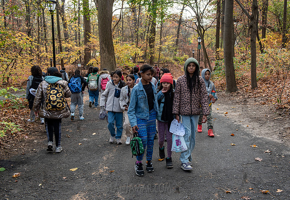 CPF Learn - Seeds To Trees - Prospect Park - NYC - 2024