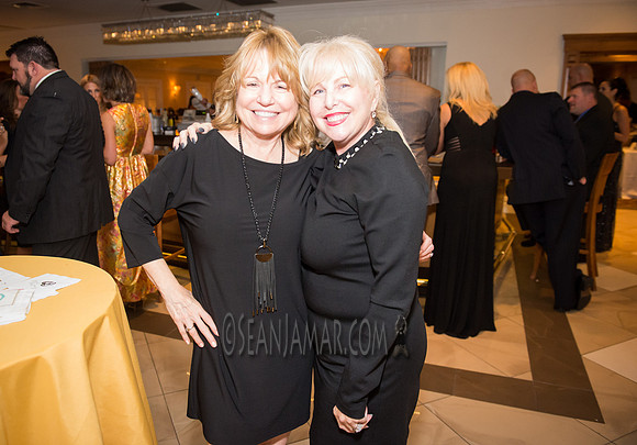 Heart of Gold Gala - The Fiesta - Woodridge NJ - 2016
