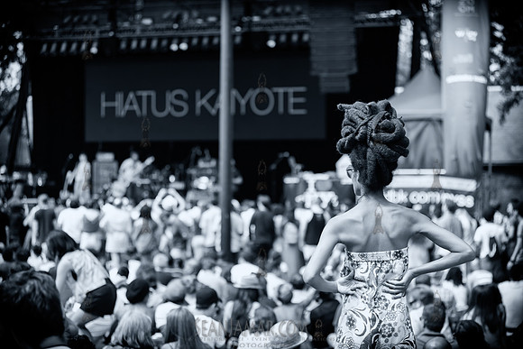 Hiatus Kaiyote