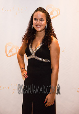 Heart of Gold Gala - The Fiesta - Woodridge NJ - 2016
