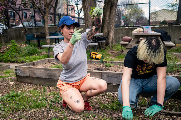 CPF Learning Gardens - Grove Hill Community  Garden - NYC - 2024