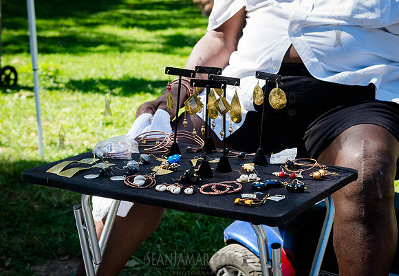 NYC SummerStage - Charlie Parker Jazz Festival - Branford Marsal