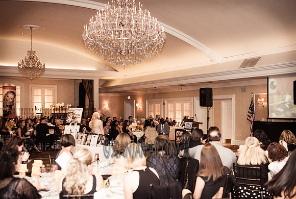 Heart of Gold Gala - The Fiesta - Woodridge NJ - 2016