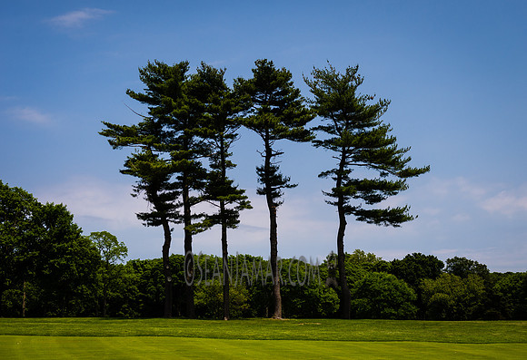 PSAL Co-Ed Golf Team Championship - North Shore Country Club - Glen Head NY - 2018