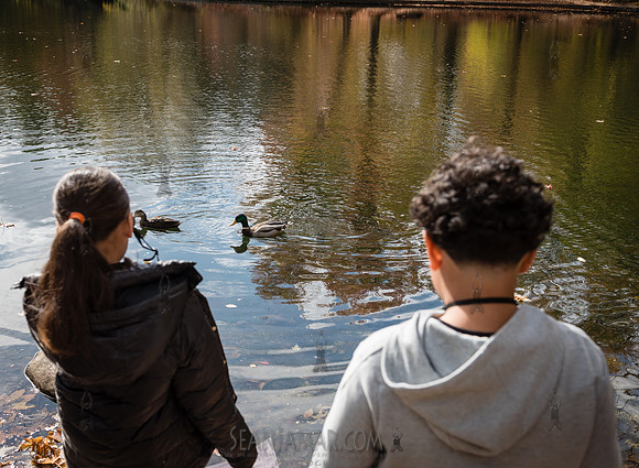 CPF Learn - Seeds To Trees - Prospect Park - NYC - 2024