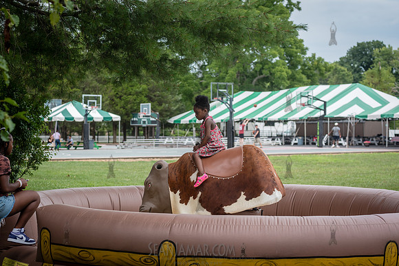ARUP Company Picnic - Black Bear Lake - Millstone Township NJ -