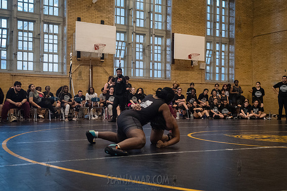 PSAL Girls Team Wrestling Championship - Grover Cleveland HS - N
