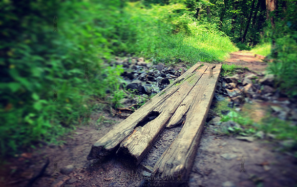 Watchung Reservation