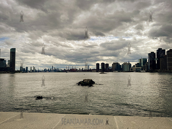 Dan Li Surpise Engagement - Four Freedoms State Park - NYC - 202