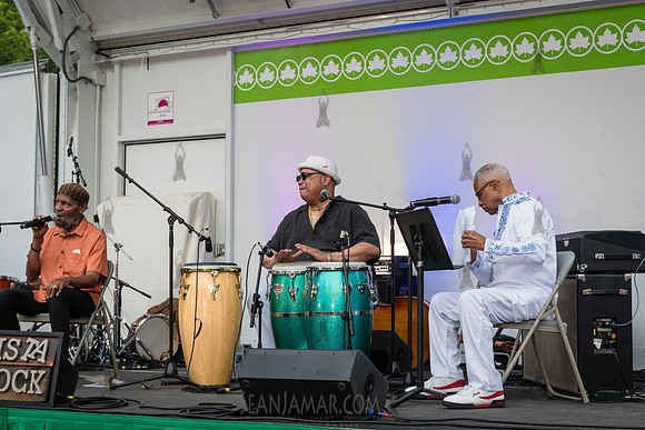 NYC SummerStage - Gil Scott Heron Tribute - St Marys Park - NYC