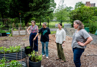 NYC Green Fund - Van Cortlandt Park Alliance Intern Training - V