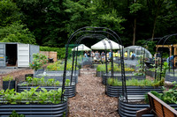 NYC Green Fund - Van Cortlandt Park Alliance Intern Training - V