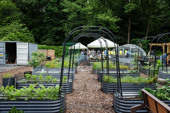 NYC Green Fund - Van Cortlandt Park Alliance Intern Training - V
