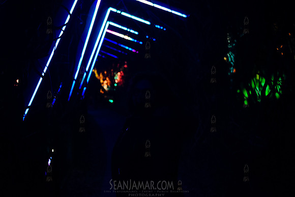 Adventure Day - Grounds For Sculpture - NightForms - NJ - 2023